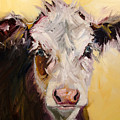 Bed Head Cow